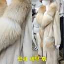 롯데명품세탁소 | 레드 폭스와 밍크 믹스 모피 코트 세탁과 밍크 세탁 확실하게 달라짐 대성모피 리폼 수선 세탁 제조까지...