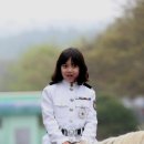 챔프이야기 이미지