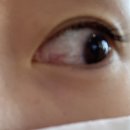 푸른숲안과의원 이미지