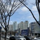 랙스 | [경기/분당] 분당가구거리/ 랙스가이 투어/ 가구전시장👌🏻 /명품 원단, 매트리스를 고집하는 랙스가이...