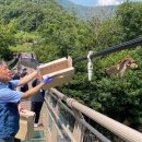 경기도 북부야생동물구조관리센터 이미지