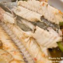 메기대감 이미지