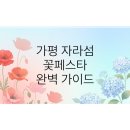 애터미 남양주 이룸센터 | 가평 자라섬 꽃축제 완벽 가이드 | 2026 양귀비축제 입장료 주차 먹거리 총정리