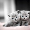 아이러브 동물병원 이미지