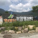개운로R 네이버블로그