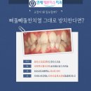 연세예쁜미소치과 이미지