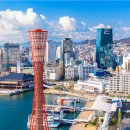 (유)진투어 이미지