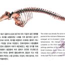 포항중기전기 네이버블로그