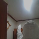 그린라인 이미지