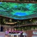 아이스타 | [안성] 아이와 맛집｜안성 스타필드 카츠바 후기 후기