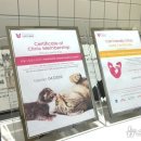 원헬스동물의료센터