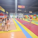 단국대 가온태권도 이미지