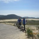 자전거 周遊山河-태안해안 일·십·백·천·만리포 이미지