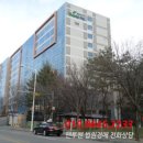 나비허리길 이미지