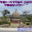 구름골의성마늘