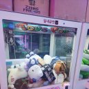 스타게임장 | 구미 인동 스타게임장 인형뽑기 도전기! 라부부 짭부부도 귀여움 폭발