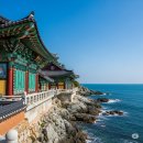 숲해설가와 떠나는 숲 나들이 - 다대포 해안 탐방 | 부산 사람들의 휴양지 선택 가이드: 근교부터 도심 속 힐링까지 완벽 분석 🌊🏞️