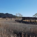 순천만습지 이미지