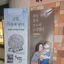 내 마음속의 캘리그라피 | 인천교육청 평생학습관 기획 전시 방문 후기