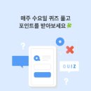 뷰티포인트