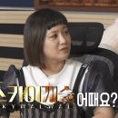 스카이개슬 이미지