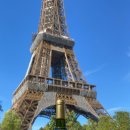 파리의 아침 이미지