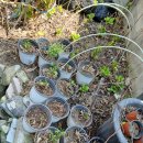 늘푸른나무약국 이미지