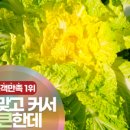농부의 선물