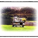 도심속의 평화 이미지