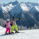 신한NS | 💥추석 전 마지막 찬스! 신한카드 5개월 무이자 할부 가능한 업종 총정리🎉