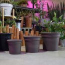 플랜테리어 홈가드닝 이미지