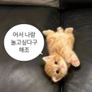 몽글몽글 이미지