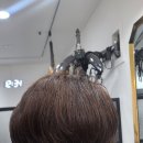 넬미용실 이미지