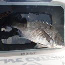 남해-318 이미지