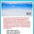 오늘의양식 네이버블로그