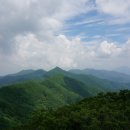 앵두식당 이미지