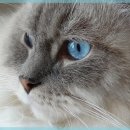 동대문한의원 이미지