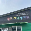 원주자연 | 원주 아기랑 다녀온 ‘자연생태원’ 내돈내산 후기