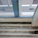 대곡사계절 이미지