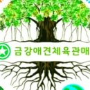 용인대 드림합기도 이미지