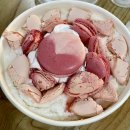 설빙 ( 경산하양점 ) | [설빙 경산하양점] 딸기마카롱설빙 포장해서 먹은 후기