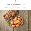 채수건농장 | 이유식에도 안심하고 사용할 수 있는 유정란🥚 난각1번 확인한 양계장청년 후기