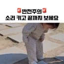 성악설 이미지