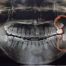 차앤백구강악안면외과치과의원 이미지