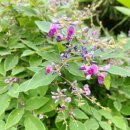 무룡산-KT중계소 | [울산여행]울산 무룡산(테마임도입산-무룡산정상-차도하산)등산정보 (출발위치/소요시간/주차정보)