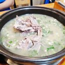 복돈(주) | 대전 변동맛집 복돈오리 한방오리백숙