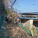 구구랜드 실키팜 이미지