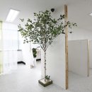 신촌화방