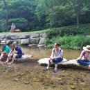 오도산 자연휴양림 이미지