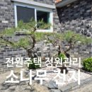 옥천 풋살장 네이버블로그
